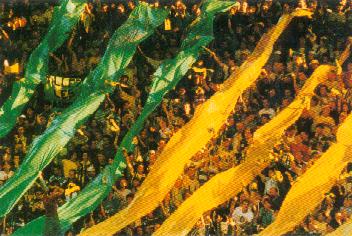 Allez les Canaris !